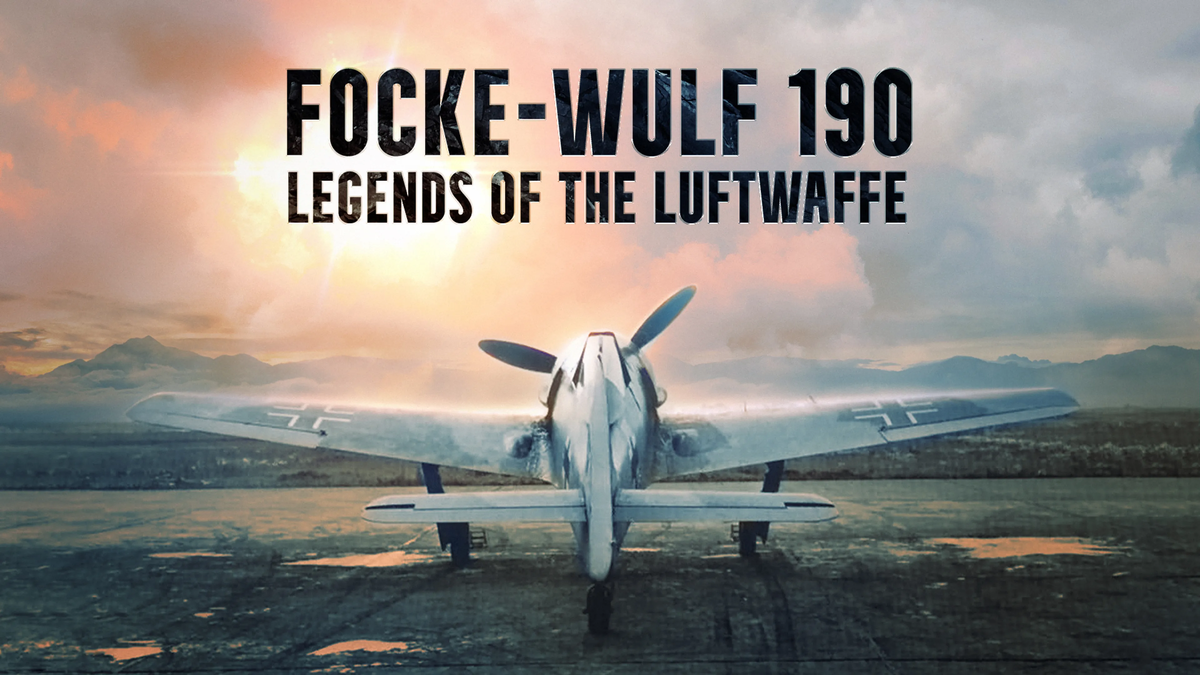 Focke-Wulf 190: Legends of the Luftwaffe poster
